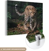 Peinture sur verre animaux - Léopard - Forêt - Feuilles - Décoration murale - Décoration murale verre - Chambre - 40x30 cm - Peinture sur verre - Décoration de chambre