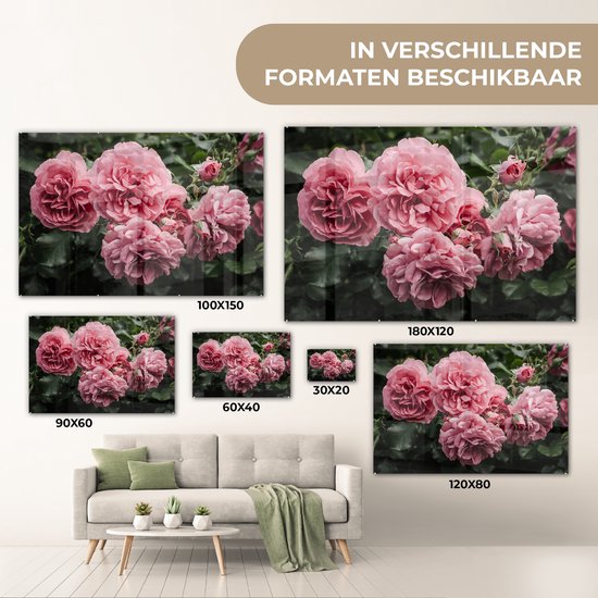 MuchoWow® Peinture sur Verre - Rose - Fleurs - Roses - 150x100 cm - Peintures sur Verre Peintures - Photo sur Glas