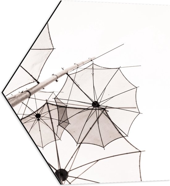 Dibond Hexagon - Doorzichtige Paraplu Vormen tegen Witte Achtergrond - 60x52.2 cm Foto op Hexagon (Met Ophangsysteem)