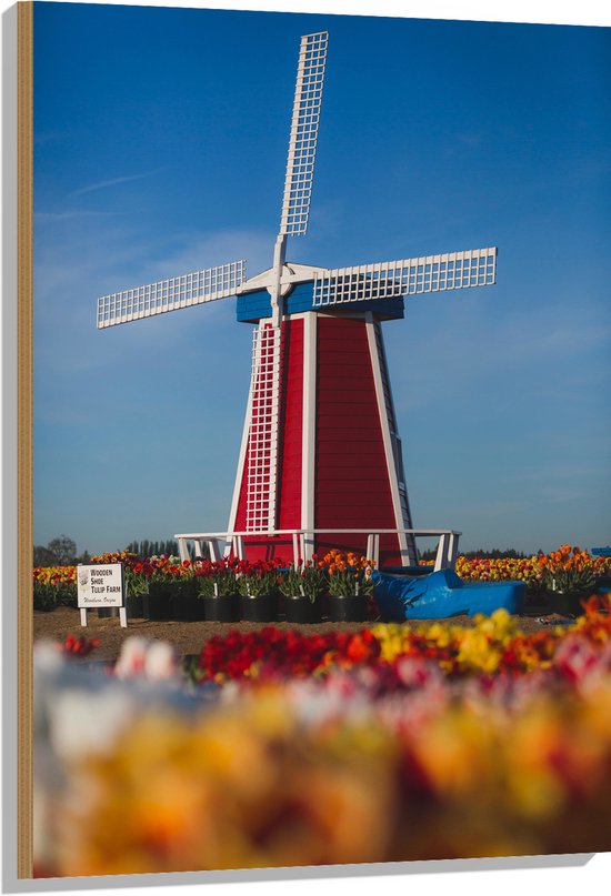 Hout - Windmolen tussen de Wolken vanaf Kikkerperspectief - 40x120 cm