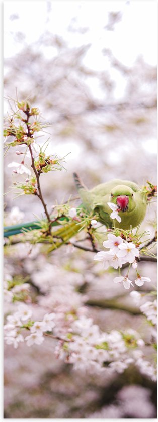 Poster (Mat) - Groene Vogel tussen de Roze Bloesem - 50x150 cm Foto op Posterpapier met een Matte look