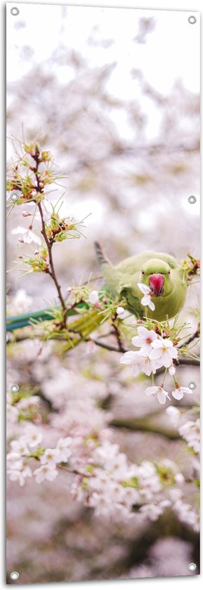 Tuinposter – Groene Vogel tussen de Roze Bloesem - 50x150 cm Foto op Tuinposter (wanddecoratie voor buiten en binnen)