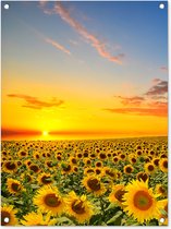 Tuinposter bloemen - Tuindecoratie zonnebloem geel - 60x80 cm - Tuinschilderij voor buiten - Tuindoek zonsondergang - Wanddecoratie - Schuttingdoek natuur - Balkon decoratie - Muurdecoratie bloemenveld - Buitenschilderijen voor in de tuin
