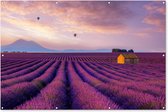 Tuinposter lavendel - Bloemen - Luchtballon - Paars - Landschap - Tuindecoratie - Tuinschilderij voor buiten - 180x120 cm - Schutting decoratie - Schuttingdoek - Tuin - Tuindoek - Buitenposter