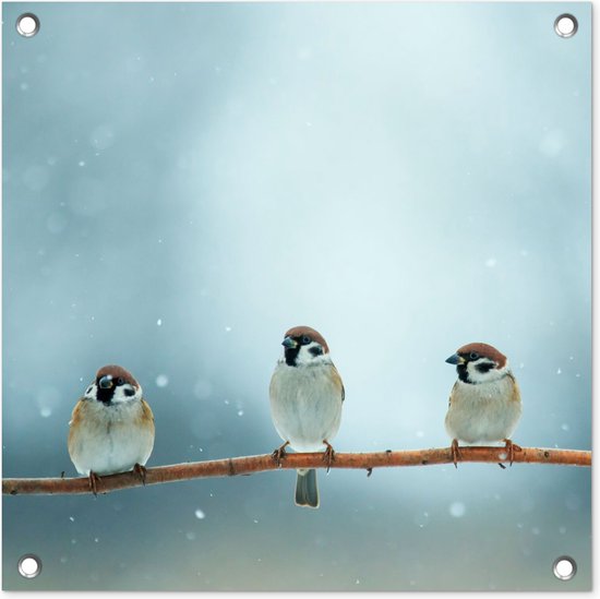 Tuinposter vogels - Mus - Dieren - Sneeuw - Natuur - Winter - Schutting decoratie - Tuin - Schuttingdoek - 50x50 cm - Tuindoek - Tuindecoratie - Tuinschilderij voor buiten - Buitenposter
