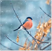 Affiche jardin - Vogel - Rouge-gorge - Branches - Feuilles - Hiver - Goud - 100x100 cm - Posters de jardin - Décoration murale - Décoration de jardin