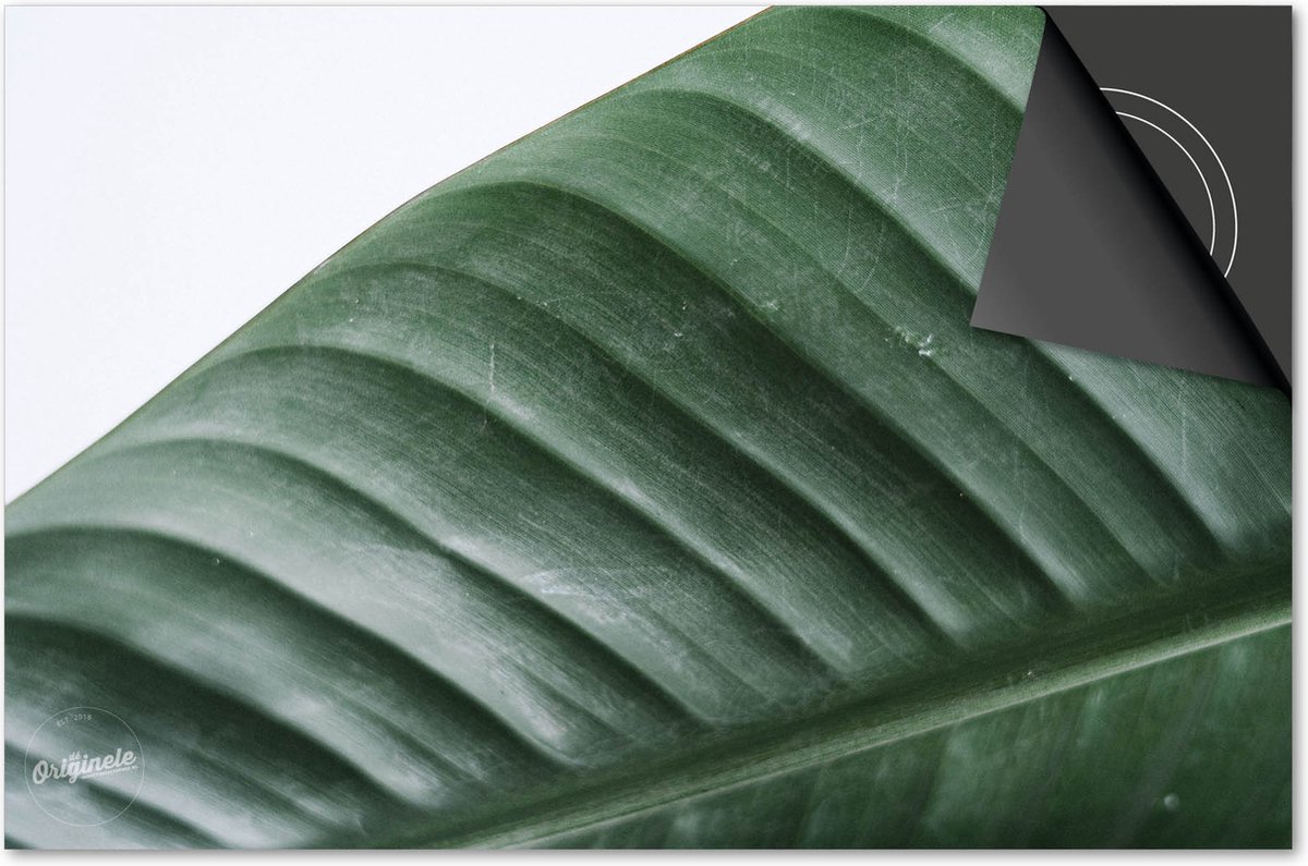 Inductie beschermer 90x52 - afdekplaat inductie mat - Dietrix Kookplaat beschermer - Base - Leaves - 3 Wit met groen blad