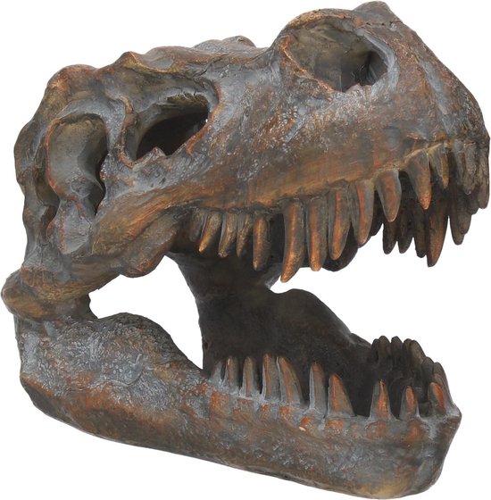 Nemesis Now - Schedels - Tyrannosaurus Rex Schedel - Beeld - 16cm