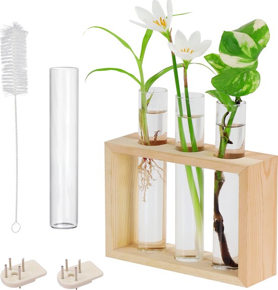 Belle Vous Muur Hang Glazen Testbuis Planten Vaas – 4 Bloemen Buisjes (1 Reserve) met Houten Standaard – Tafeltop Terrarium Modern Station voor Planten, Huis, Plant Groei, Flora & Decoratie