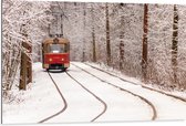 Dibond - Rode Tram rijdend door Bos vol Bomen in de Winter - 105x70 cm Foto op Aluminium (Met Ophangsysteem)