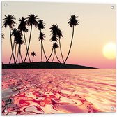 Tuinposter – Silhouet van Palmbomen op Onbewoond Eiland in de Oceaan bij Zonsondergang - 80x80 cm Foto op Tuinposter (wanddecoratie voor buiten en binnen)