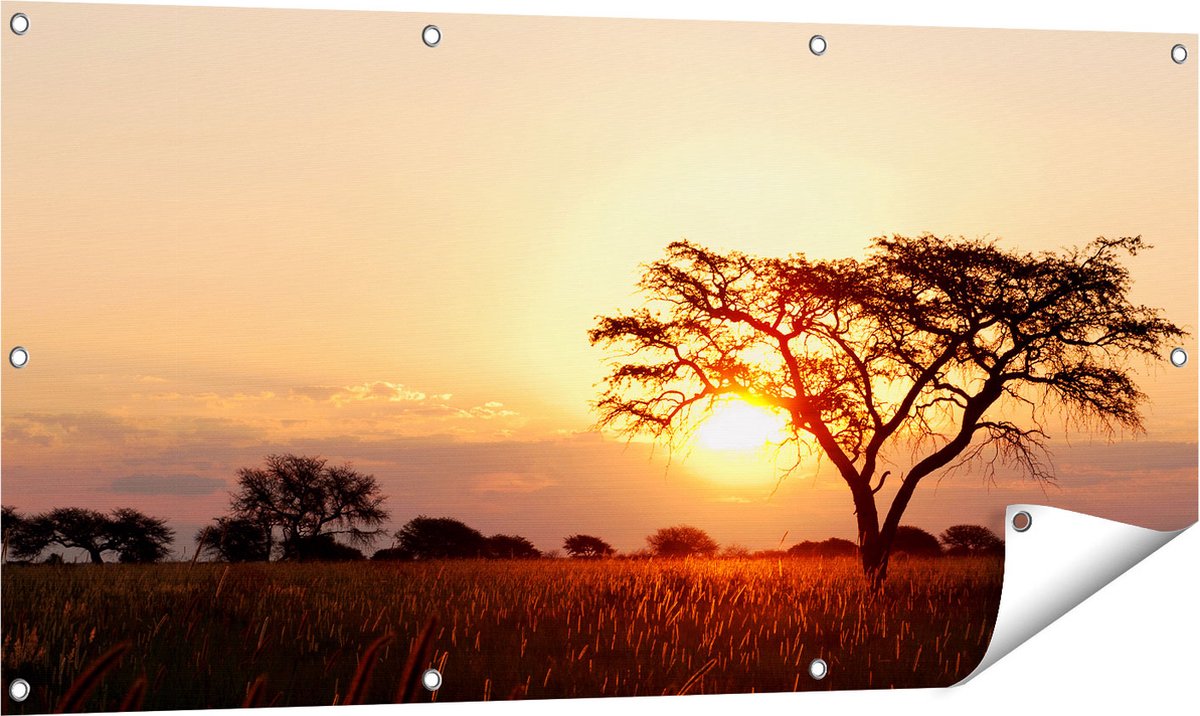 Gards Tuinposter Zonsondergang Achter een Acacia Boom - 120x60 cm - Tuindoek - Tuindecoratie - Wanddecoratie buiten - Tuinschilderij Multikleur