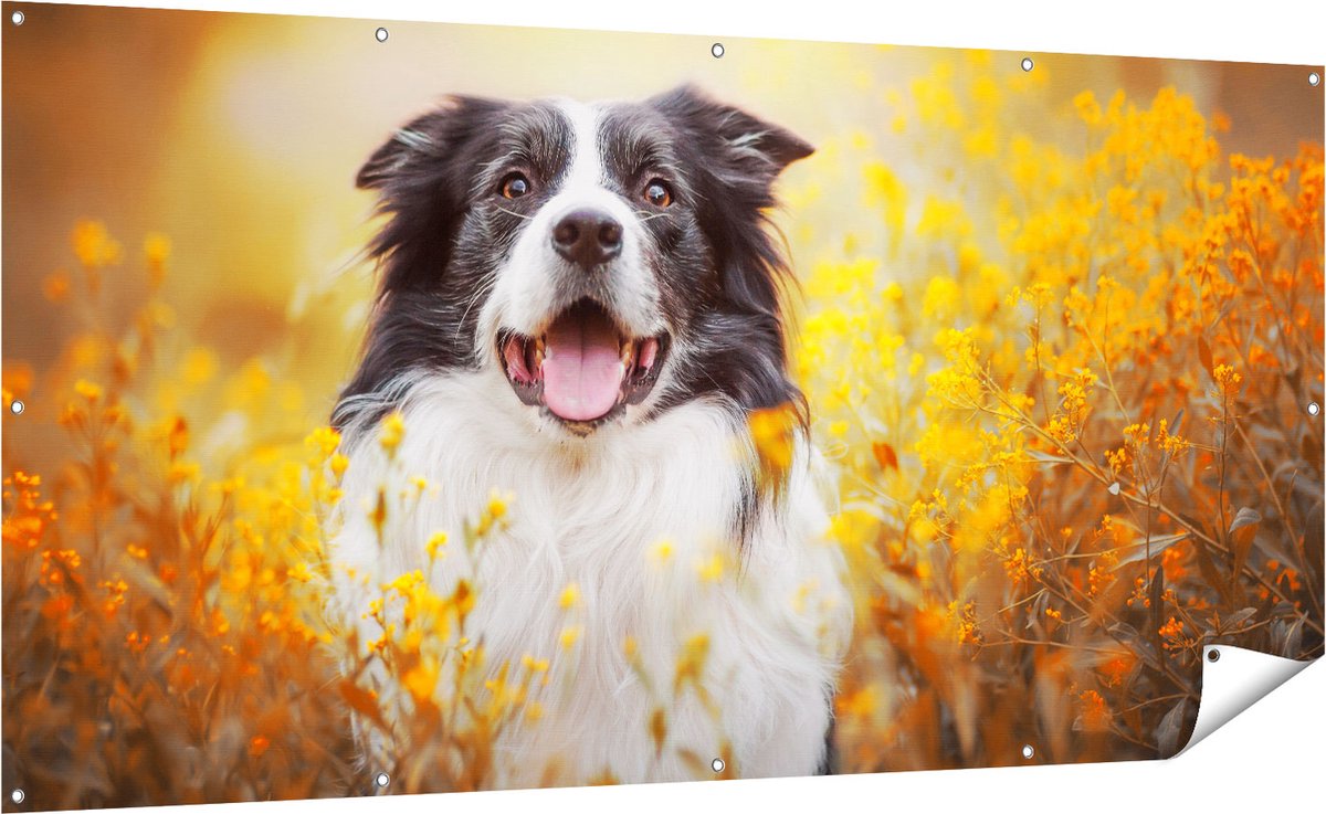 Gards Tuinposter Blije Hond tussen de Bloemen - 200x100 cm - Tuindoek - Tuindecoratie - Wanddecoratie buiten - Tuinschilderij Multikleur