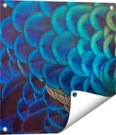 Gards Tuinposter Kleurrijke Pauw Veren van Dichtbij - 50x50 cm - Tuindoek - Tuindecoratie - Wanddecoratie buiten - Tuinschilderij