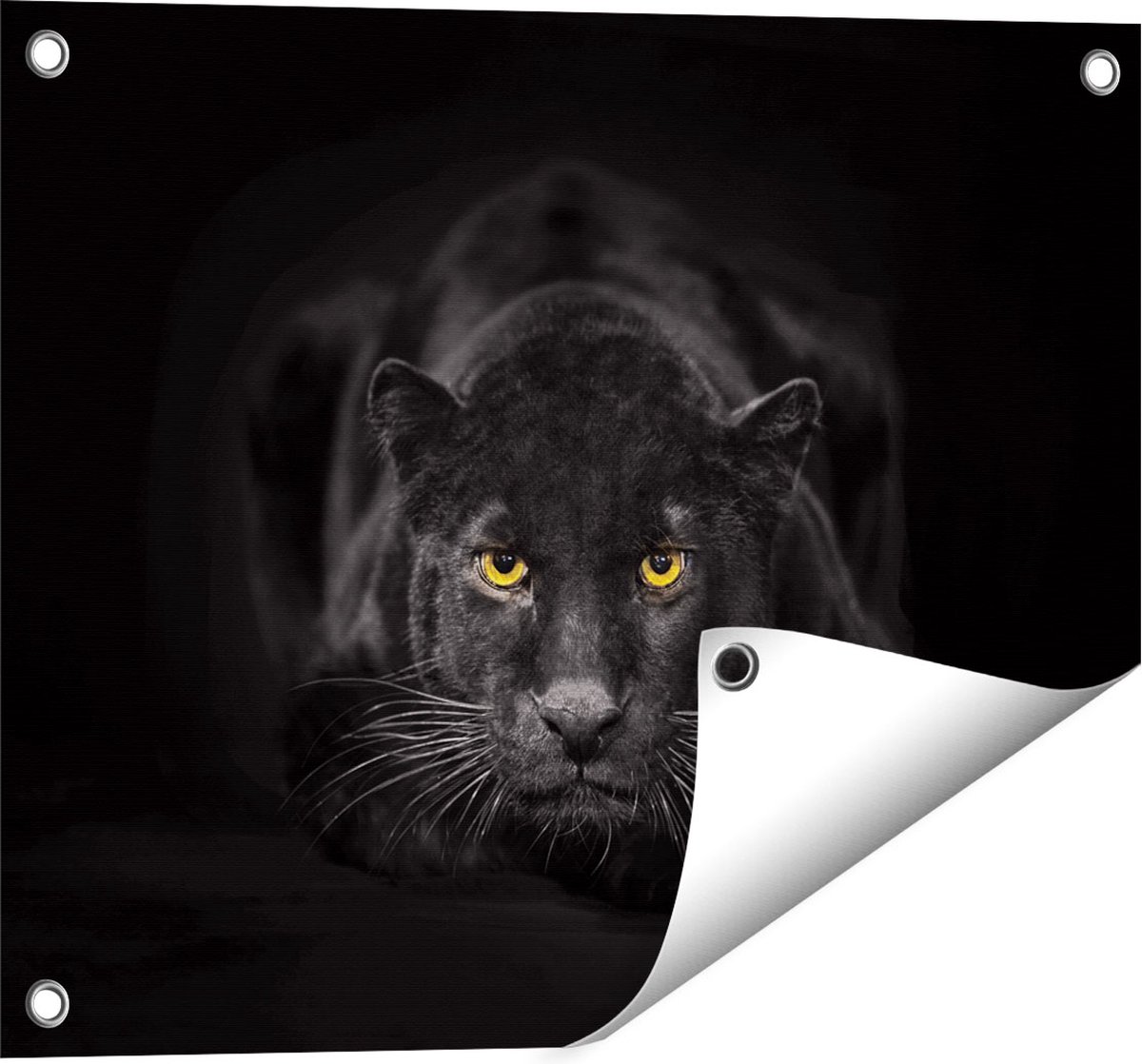 Gards Tuinposter Zwarte Panter met Oranje Ogen - 50x40 cm - Tuindoek - Tuindecoratie - Wanddecoratie buiten - Tuinschilderij Multikleur