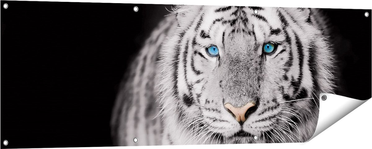 Gards Tuinposter Tijger met Blauwe Ogen - Zwart Wit - 150x50 cm - Tuindoek - Tuindecoratie - Wanddecoratie buiten - Tuinschilderij Multikleur