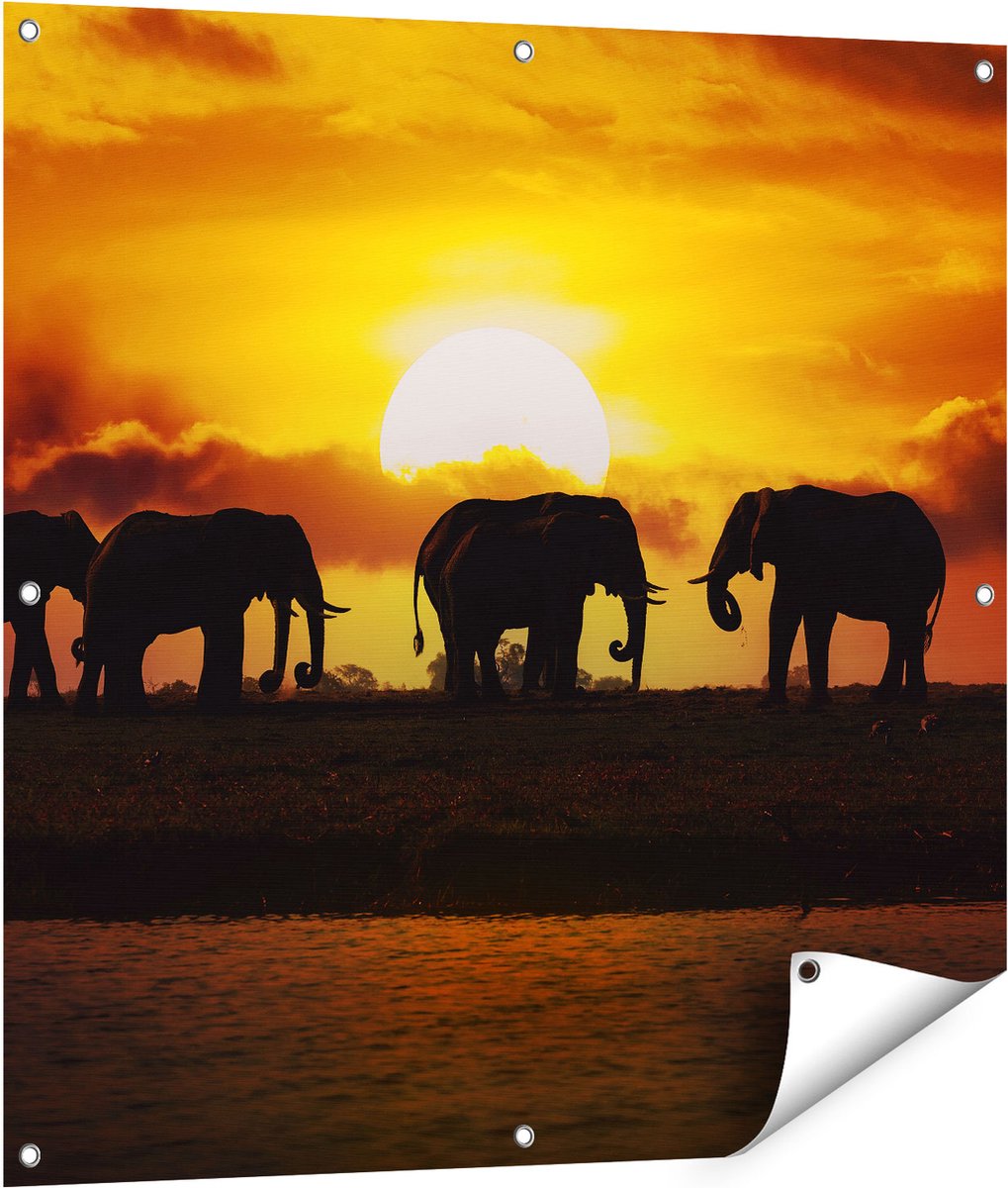 Gards Tuinposter Silhouet Olifanten tijdens Zonsondergang - 90x90 cm - Tuindoek - Tuindecoratie - Wanddecoratie buiten - Tuinschilderij Multikleur