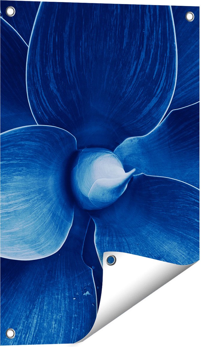 Gards Tuinposter Blauwe Agave Plant - Bloem - 40x60 cm - Tuindoek - Tuindecoratie - Wanddecoratie buiten - Tuinschilderij Multikleur