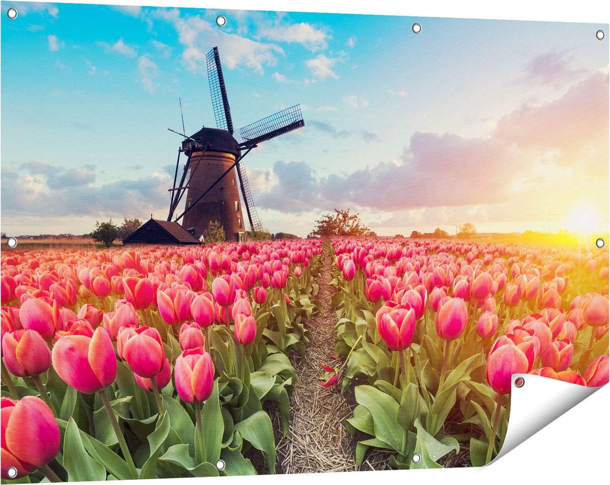 Gards Tuinposter Roze Tulpen Bloemenveld - met Windmolen - 120x80 cm - Tuindoek - Tuindecoratie - Wanddecoratie buiten - Tuinschilderij Multikleur
