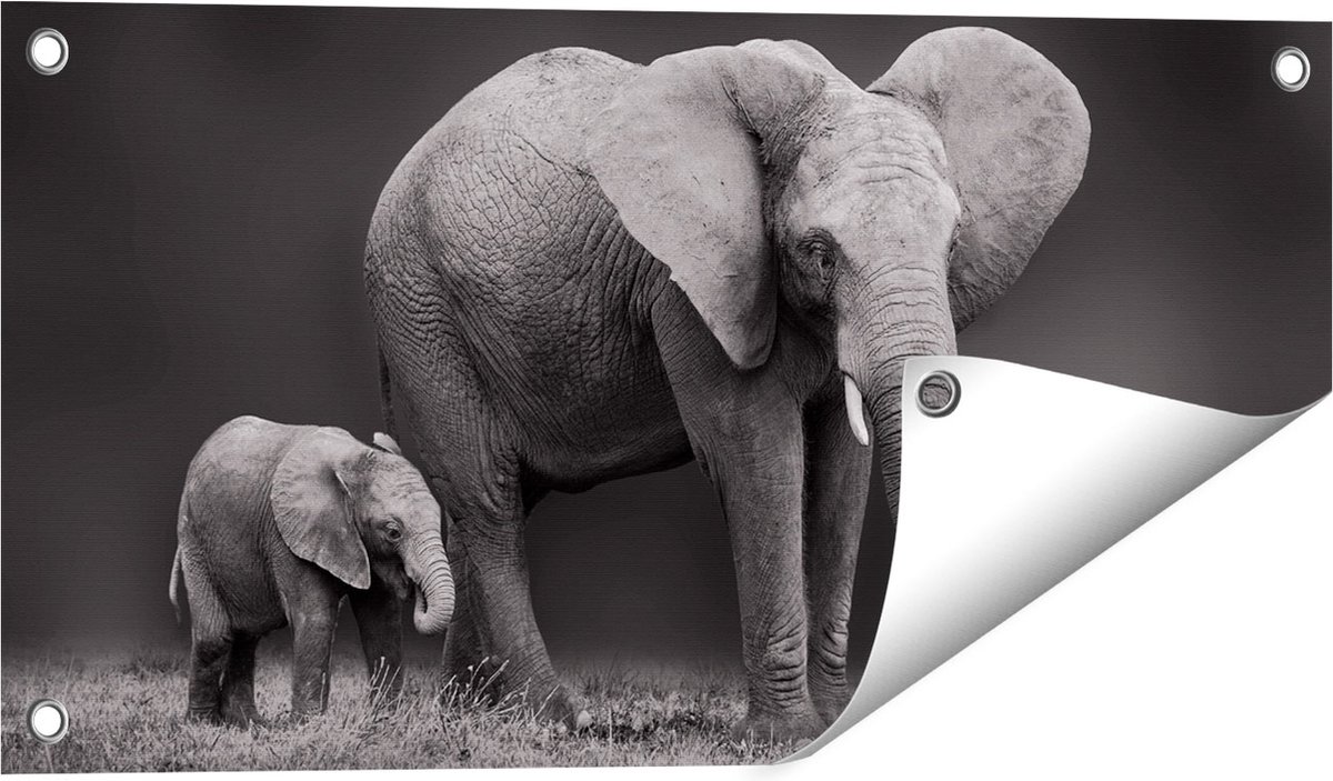 Gards Tuinposter Olifant Moeder en Zoon - Zwart Wit - 60x30 cm - Tuindoek - Tuindecoratie - Wanddecoratie buiten - Tuinschilderij Multikleur