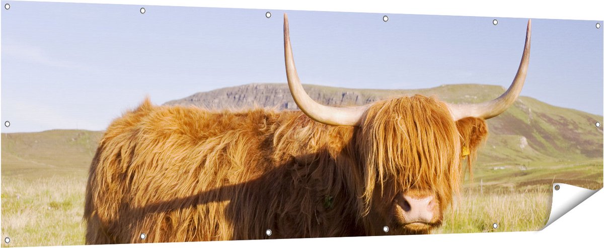 Gards Tuinposter Schotse Hooglander Koe - Kleur - 210x70 cm - Tuindoek - Tuindecoratie - Wanddecoratie buiten - Tuinschilderij Multikleur