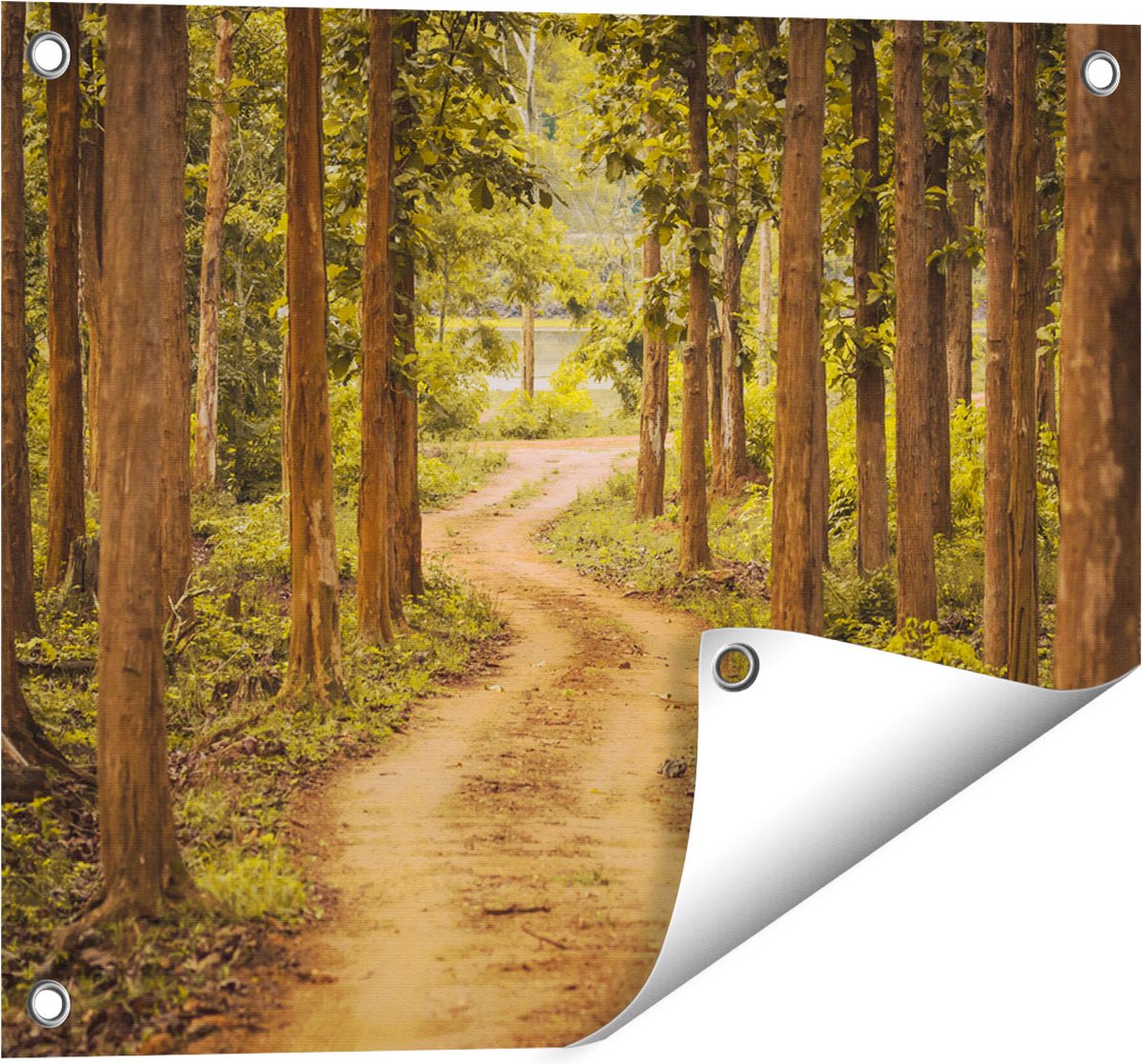 Gards Tuinposter Pad in het Bos met Bomen - 50x40 cm - Tuindoek - Tuindecoratie - Wanddecoratie buiten - Tuinschilderij Multikleur