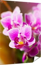 Gards Tuinposter Paarse Orchidee Bloemen - 120x160 cm - Tuindoek - Tuindecoratie - Wanddecoratie buiten - Tuinschilderij
