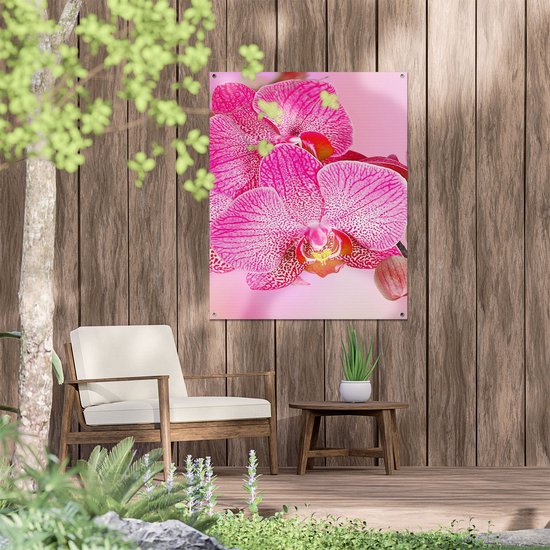 Gards Affiche de jardin Fleurs d'orchidées roses - 80x100 cm - Toile jardin - Décoration de jardin - Décoration murale extérieur - Tableau jardin