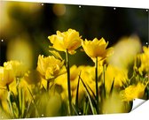 Gards Tuinposter Gele Tulpen - Bloemen - 180x120 cm - Tuindoek - Tuindecoratie - Wanddecoratie buiten - Tuinschilderij