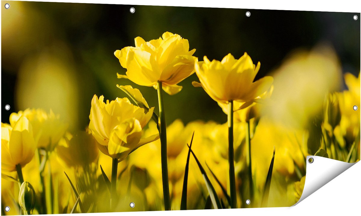 Gards Tuinposter Gele Tulpen - Bloemen - 140x70 cm - Tuindoek - Tuindecoratie - Wanddecoratie buiten - Tuinschilderij Multikleur