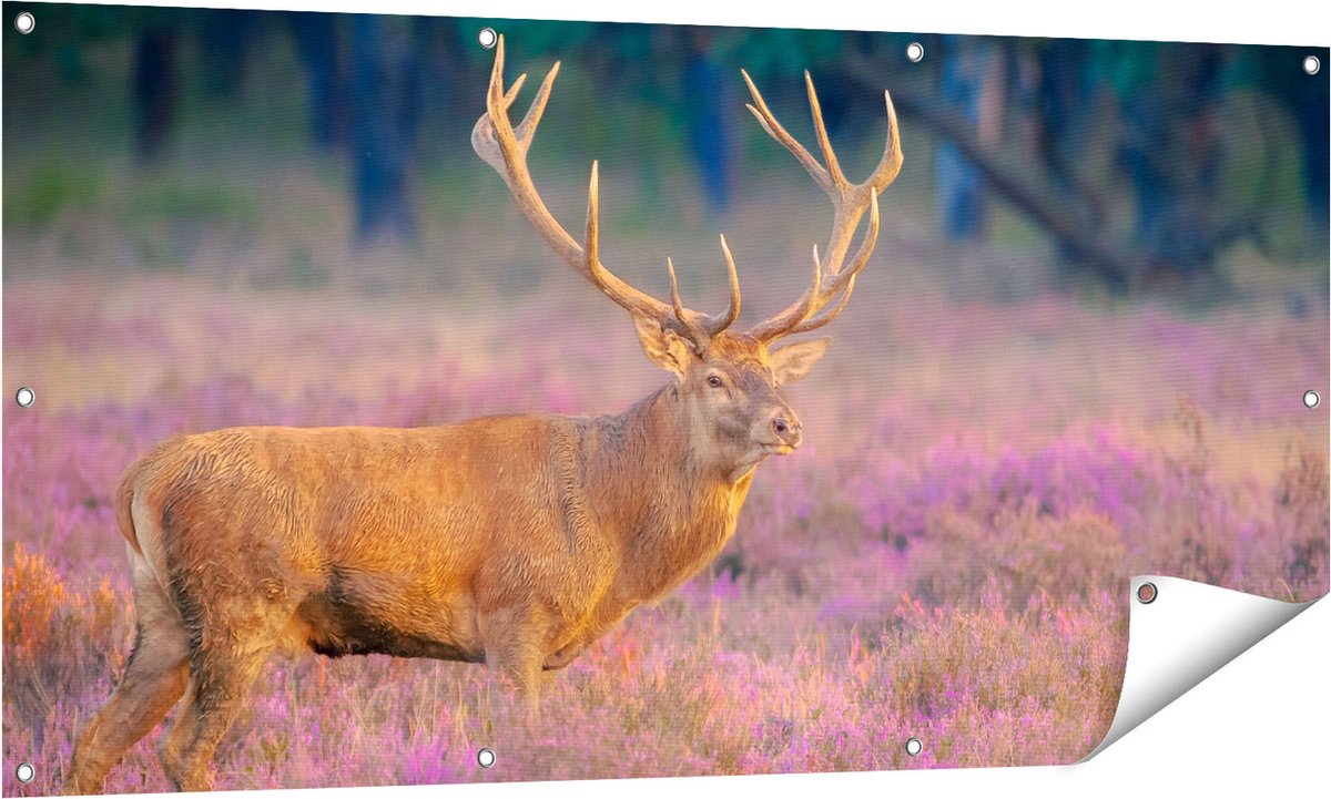Gards Tuinposter Hert in de Weide tijdens Zonsondergang - 140x70 cm - Tuindoek - Tuindecoratie - Wanddecoratie buiten - Tuinschilderij Multikleur