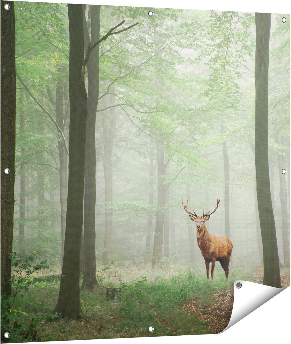 Gards Tuinposter Hert in Bos - 100x100 cm - Tuindoek - Tuindecoratie - Wanddecoratie buiten - Tuinschilderij Multikleur