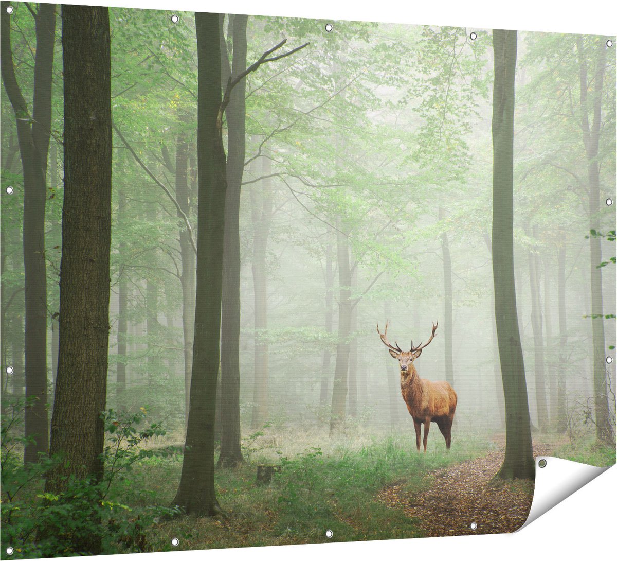 Impression Cerf En Forêt - Toile Tendue Ou Poster, Plusieurs Tailles, Art Déco