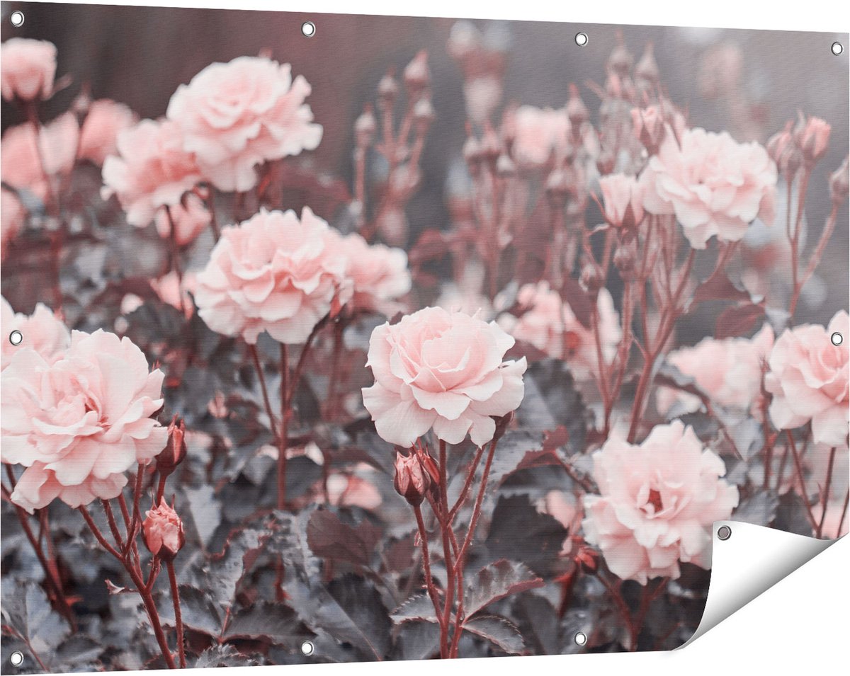 Gards Tuinposter Roze Rozen Bloemen - 120x80 cm - Tuindoek - Tuindecoratie - Wanddecoratie buiten - Tuinschilderij Multikleur