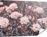 Gards Tuinposter Roze Rozen Bloemen - 120x80 cm - Tuindoek - Tuindecoratie - Wanddecoratie buiten - Tuinschilderij