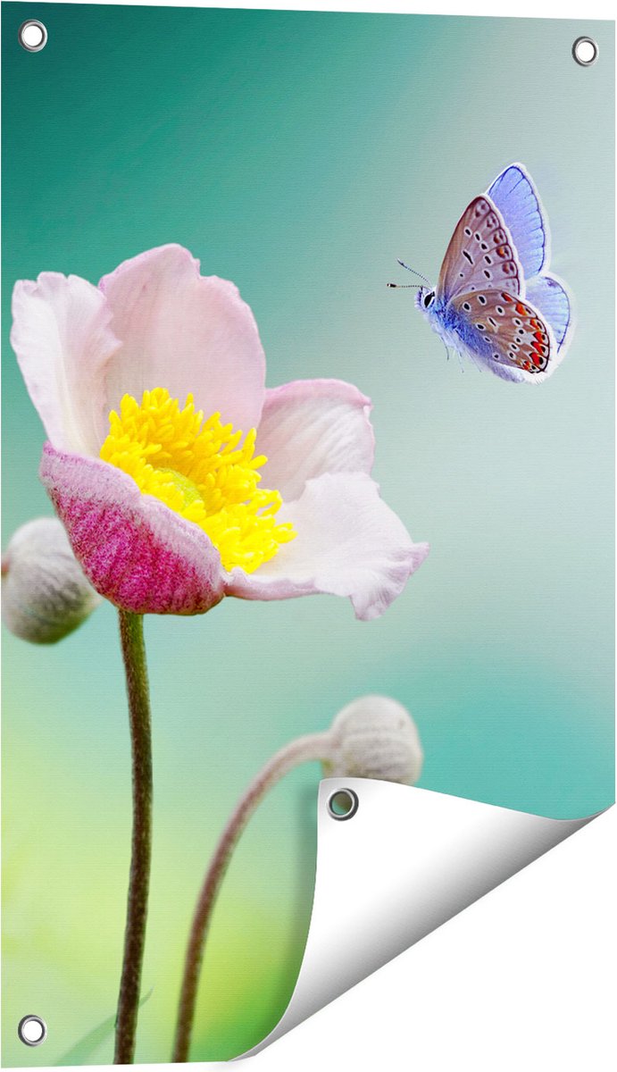 Gards Tuinposter Roze Anemoon Bloem met een Blauwe Vlinder - 40x60 cm - Tuindoek - Tuindecoratie - Wanddecoratie buiten - Tuinschilderij Multikleur