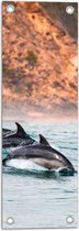 Tuinposter – Drie Synchroon Zwemmende Dolfijnen in de Zee - 20x60 cm Foto op Tuinposter (wanddecoratie voor buiten en binnen)