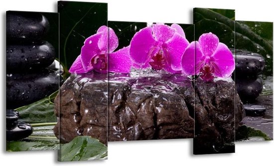 Peinture sur toile Orchidée | Noir, rose, gris | 120x65 5 Liège