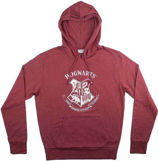 Hogwarts School Kids Hoodie - De Popshop
