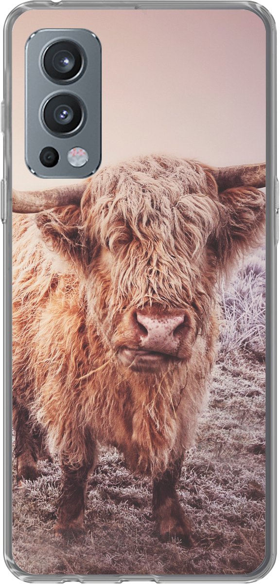 Telefoonhoesje Geschikt voor OnePlus Nord 2 5G hoesje - Schotse hooglanders - Licht - Lucht - Natuur - Siliconen Telefoonhoesje Telefoonhoesje
