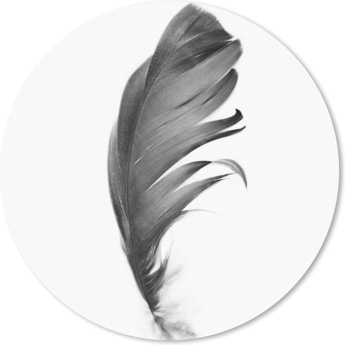 Muismat rond 30x30 cm - Mousepad Veer - Zwart - Wit - Natuur - Ronde muismatten