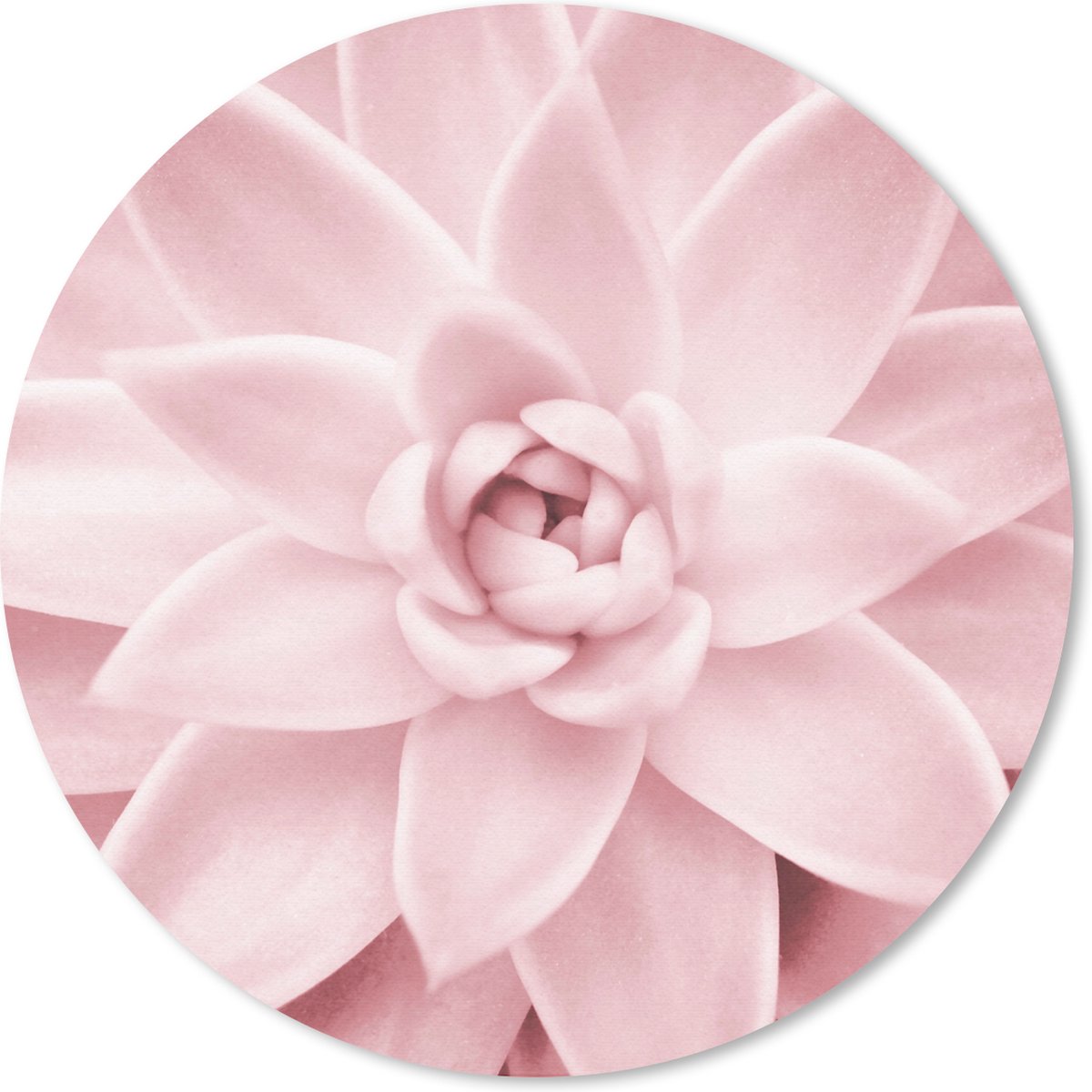 Muismat rond 30x30 cm - Mousepad Bloem - Roze - Natuur - Plant - Ronde muismatten