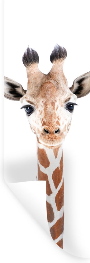 Stickers muraux - Film autocollant - Girafe - Animaux - Nature - Portrait - 20x60 cm - Film adhésif - Stickers muraux Chambre d'enfant - Papier peint autocollant - Papier peint autocollant - Film autocollant
