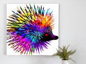 Vibrant Echidna Splatter kunst - 40x40 centimeter op Dibond | Foto op Dibond - wanddecoratie