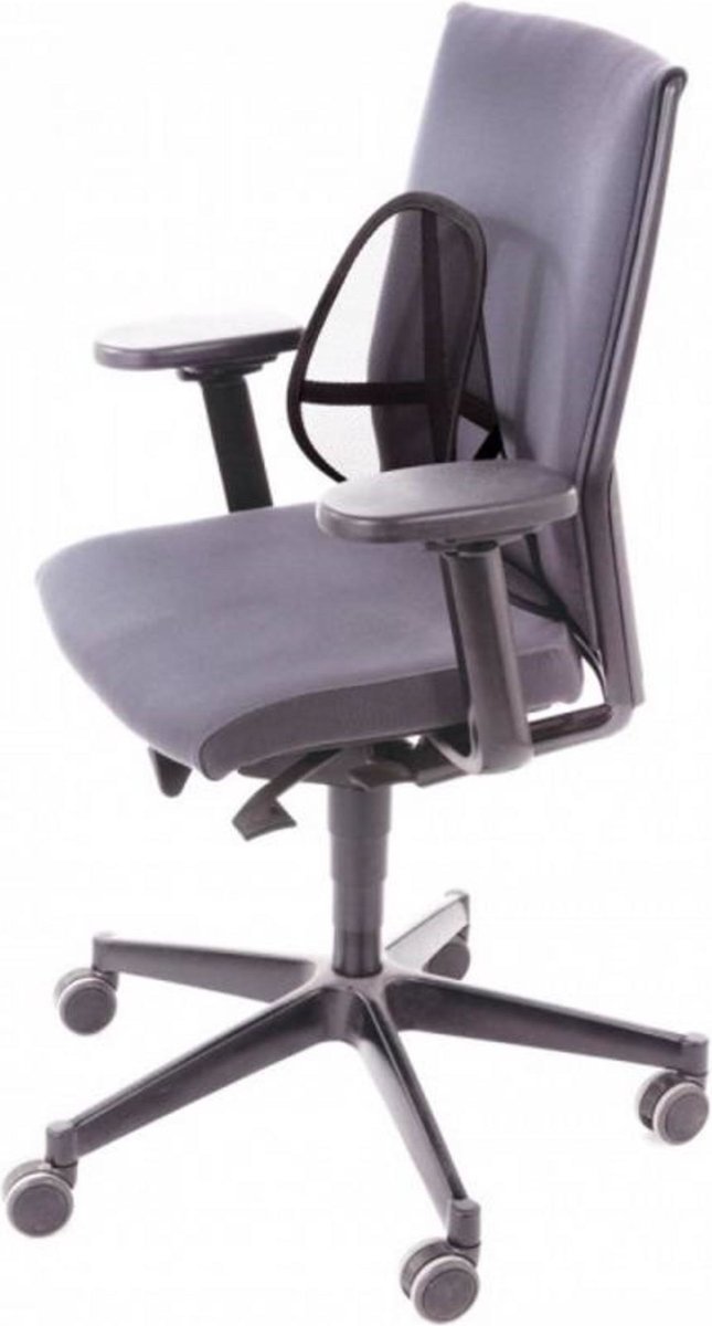 Lifetime Ergonomische Ruggensteun