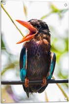 Tuinposter – Kleurrijke IJsvogel met Open Snavel Zittend op Smalle Tak - 50x75 cm Foto op Tuinposter (wanddecoratie voor buiten en binnen)