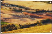 Tuinposter – Natuurlandschap in de Zomerse Zonnestralen - 90x60 cm Foto op Tuinposter (wanddecoratie voor buiten en binnen)