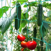 plantenclips voor tomaten, rozen, komkommers en andere klimplanten, Klimplantenrek (2m x 5m)