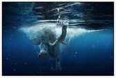 Olifant Onderwater - Foto op Akoestisch paneel - 120 x 80 cm