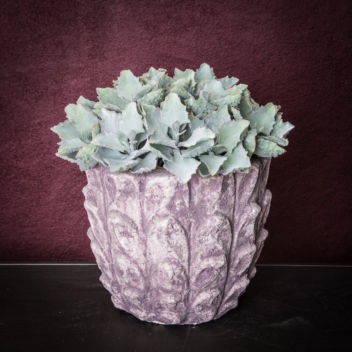 PTMD Succulent Kalanchoe Pluk Kunstplant - 13 x 14 x 20 cm - Groen